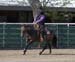 _MG_0323C