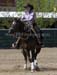 _MG_0344C