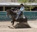 _MG_0796C