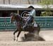 _MG_0797C