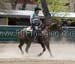 _MG_0801C