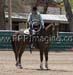 _MG_0807C