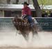 _MG_0816C
