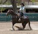 _MG_0827C